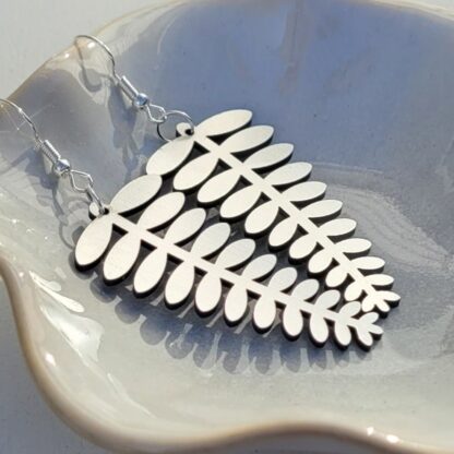 Fern