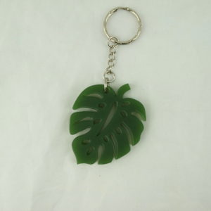 Monstera